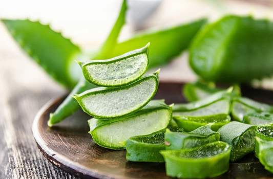 Everything You Want To Know About Aloe Vera